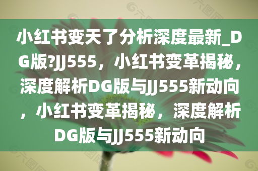 小红书变天了分析深度最新_DG版?JJ555，小红书变革揭秘，深度解析DG版与JJ555新动向，小红书变革揭秘，深度解析DG版与JJ555新动向