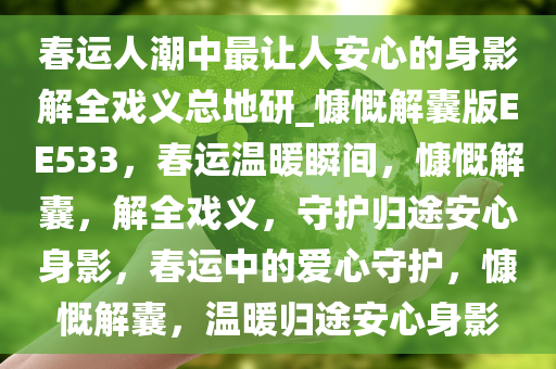 春运人潮中最让人安心的身影解全戏义总地研_慷慨解囊版EE533，春运温暖瞬间，慷慨解囊，解全戏义，守护归途安心身影，春运中的爱心守护，慷慨解囊，温暖归途安心身影