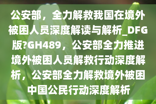 公安部，全力解救我国在境外被困人员深度解读与解析_DFG版?GH489，公安部全力推进境外被困人员解救行动深度解析，公安部全力解救境外被困中国公民行动深度解析