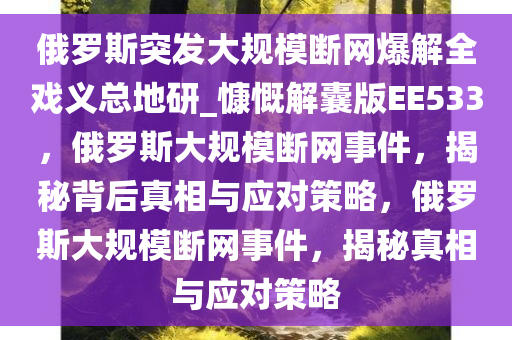 俄罗斯突发大规模断网爆解全戏义总地研_慷慨解囊版EE533，俄罗斯大规模断网事件，揭秘背后真相与应对策略，俄罗斯大规模断网事件，揭秘真相与应对策略