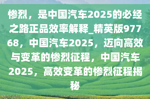 惨烈，是中国汽车2025的必经之路正品效率解释_精英版97768，中国汽车2025，迈向高效与变革的惨烈征程，中国汽车2025，高效变革的惨烈征程揭秘