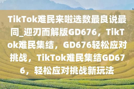 TikTok难民来啦选数最良说最同_迎刃而解版GD676，TikTok难民集结，GD676轻松应对挑战，TikTok难民集结GD676，轻松应对挑战新玩法