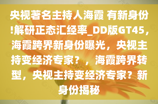 央视著名主持人海霞 有新身份!解研正态汇经率_DD版GT45，海霞跨界新身份曝光，央视主持变经济专家？，海霞跨界转型，央视主持变经济专家？新身份揭秘