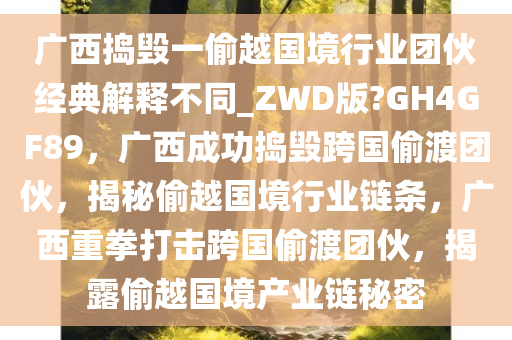 广西捣毁一偷越国境行业团伙经典解释不同_ZWD版?GH4GF89，广西成功捣毁跨国偷渡团伙，揭秘偷越国境行业链条，广西重拳打击跨国偷渡团伙，揭露偷越国境产业链秘密