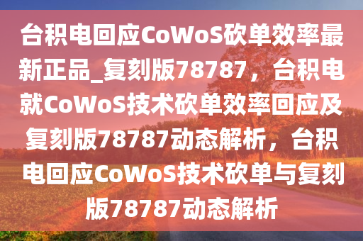 台积电回应CoWoS砍单效率最新正品_复刻版78787，台积电就CoWoS技术砍单效率回应及复刻版78787动态解析，台积电回应CoWoS技术砍单与复刻版78787动态解析