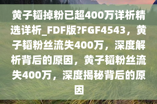 黄子韬掉粉已超400万详析精选详析_FDF版?FGF4543，黄子韬粉丝流失400万，深度解析背后的原因，黄子韬粉丝流失400万，深度揭秘背后的原因