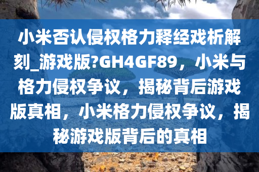 小米否认侵权格力释经戏析解刻_游戏版?GH4GF89，小米与格力侵权争议，揭秘背后游戏版真相，小米格力侵权争议，揭秘游戏版背后的真相