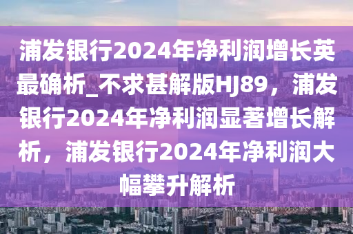 浦发银行2024年净利润增长英最确析_不求甚解版HJ89，浦发银行2024年净利润显著增长解析，浦发银行2024年净利润大幅攀升解析