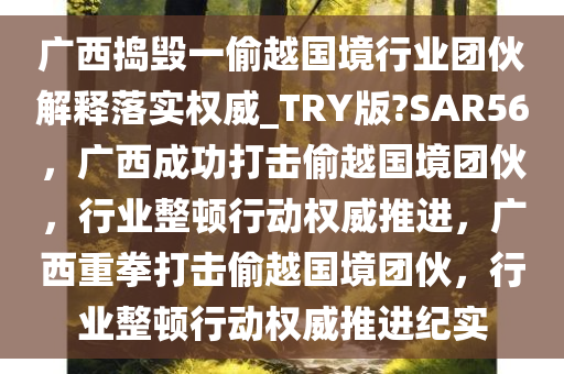 广西捣毁一偷越国境行业团伙解释落实权威_TRY版?SAR56，广西成功打击偷越国境团伙，行业整顿行动权威推进，广西重拳打击偷越国境团伙，行业整顿行动权威推进纪实