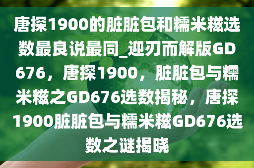 唐探1900的脏脏包和糯米糍选数最良说最同_迎刃而解版GD676，唐探1900，脏脏包与糯米糍之GD676选数揭秘，唐探1900脏脏包与糯米糍GD676选数之谜揭晓