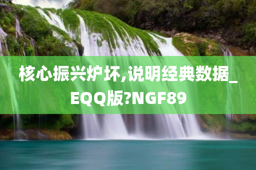 核心振兴炉坏,说明经典数据_EQQ版?NGF89