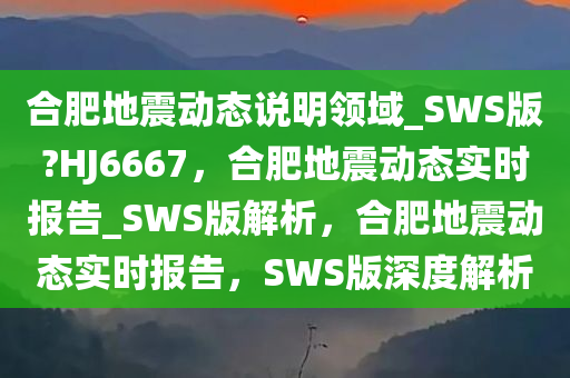 SWS版报告