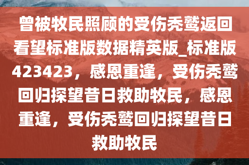 曾被牧民照顾的受伤秃鹫返回看望标准版数据精英版_标准版423423，感恩重逢，受伤秃鹫回归探望昔日救助牧民，感恩重逢，受伤秃鹫回归探望昔日救助牧民