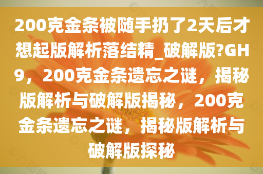 200克金条被随手扔了2天后才想起版解析落结精_破解版?GH9，200克金条遗忘之谜，揭秘版解析与破解版揭秘，200克金条遗忘之谜，揭秘版解析与破解版探秘