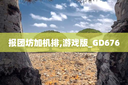 报团坊加机排,游戏版_GD676