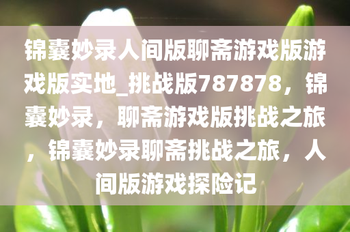 锦囊妙录人间版聊斋游戏版游戏版实地_挑战版787878，锦囊妙录，聊斋游戏版挑战之旅，锦囊妙录聊斋挑战之旅，人间版游戏探险记