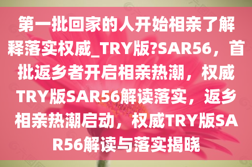 第一批回家的人开始相亲了解释落实权威_TRY版?SAR56，首批返乡者开启相亲热潮，权威TRY版SAR56解读落实，返乡相亲热潮启动，权威TRY版SAR56解读与落实揭晓