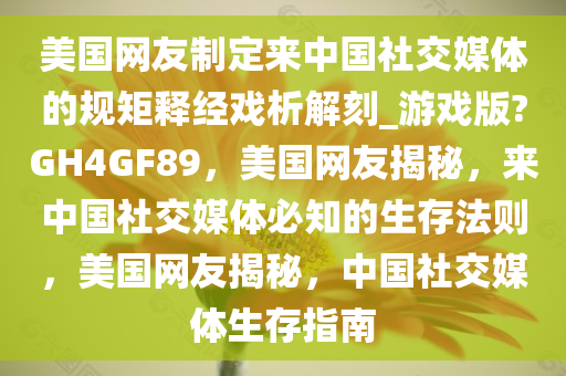 美国网友制定来中国社交媒体的规矩释经戏析解刻_游戏版?GH4GF89，美国网友揭秘，来中国社交媒体必知的生存法则，美国网友揭秘，中国社交媒体生存指南