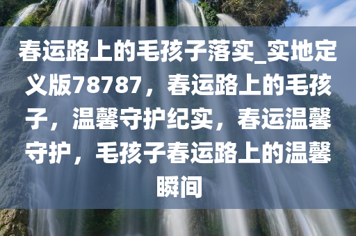 春运路上的毛孩子落实_实地定义版78787，春运路上的毛孩子，温馨守护纪实，春运温馨守护，毛孩子春运路上的温馨瞬间