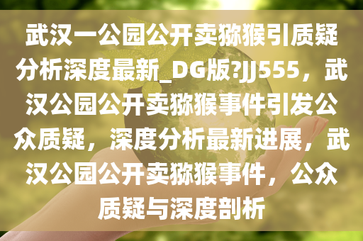 武汉一公园公开卖猕猴引质疑分析深度最新_DG版?JJ555，武汉公园公开卖猕猴事件引发公众质疑，深度分析最新进展，武汉公园公开卖猕猴事件，公众质疑与深度剖析