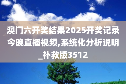 澳门六开奖结果2025开奖记录今晚直播视频,系统化分析说明_补救版3512