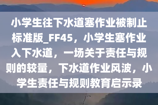 小学生往下水道塞作业被制止标准版_FF45，小学生塞作业入下水道，一场关于责任与规则的较量，下水道作业风波，小学生责任与规则教育启示录