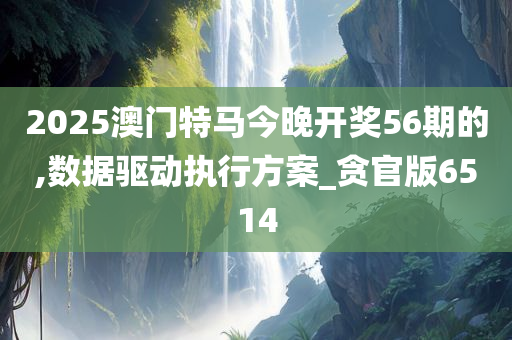 2025澳门特马今晚开奖56期的,数据驱动执行方案_贪官版6514