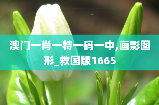 澳门一肖一特一码一中,画影图形_救国版1665