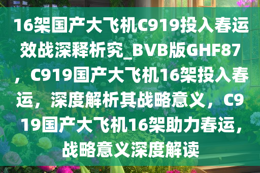 16架国产大飞机C919投入春运效战深释析究_BVB版GHF87，C919国产大飞机16架投入春运，深度解析其战略意义，C919国产大飞机16架助力春运，战略意义深度解读