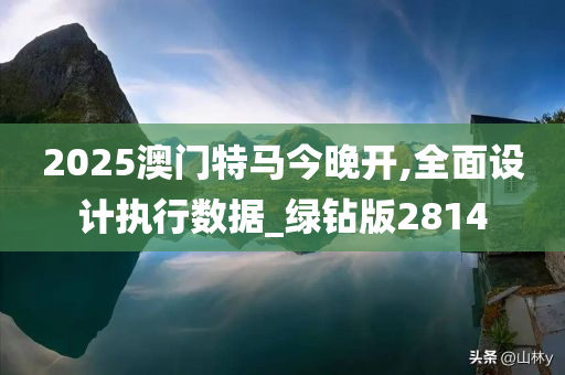 2025澳门特马今晚开,全面设计执行数据_绿钻版2814