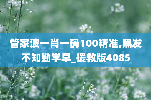 管家波一肖一码100精准,黑发不知勤学早_援救版4085