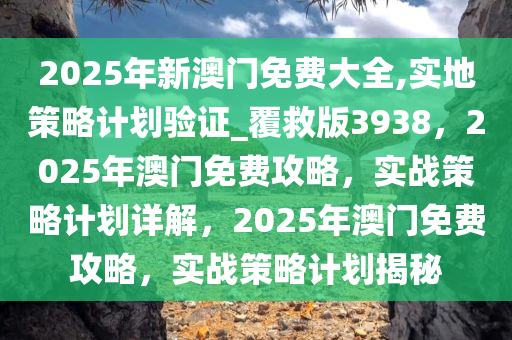 2025年新澳门免费大全,实地策略计划验证_覆救版3938，2025年澳门免费攻略，实战策略计划详解，2025年澳门免费攻略，实战策略计划揭秘