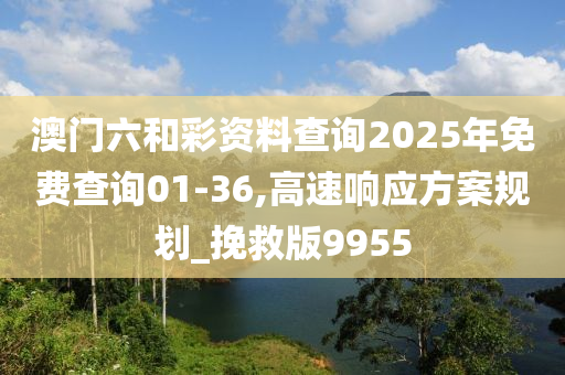 澳门六和彩资料查询2025年免费查询01-36,高速响应方案规划_挽救版9955