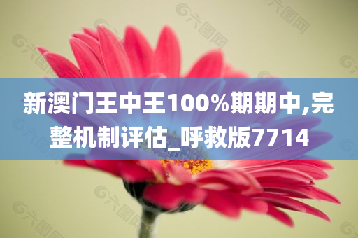 新澳门王中王100%期期中,完整机制评估_呼救版7714