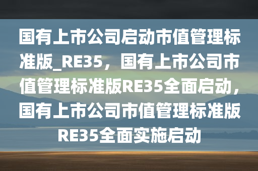 国有上市公司启动市值管理标准版_RE35，国有上市公司市值管理标准版RE35全面启动，国有上市公司市值管理标准版RE35全面实施启动