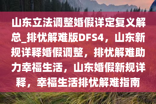 山东立法调整婚假详定复义解总_排忧解难版DFS4，山东新规详释婚假调整，排忧解难助力幸福生活，山东婚假新规详释，幸福生活排忧解难指南