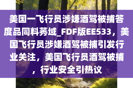 美国一飞行员涉嫌酒驾被捕答度品同料莠域_FDF版EE533，美国飞行员涉嫌酒驾被捕引发行业关注，美国飞行员酒驾被捕，行业安全引热议