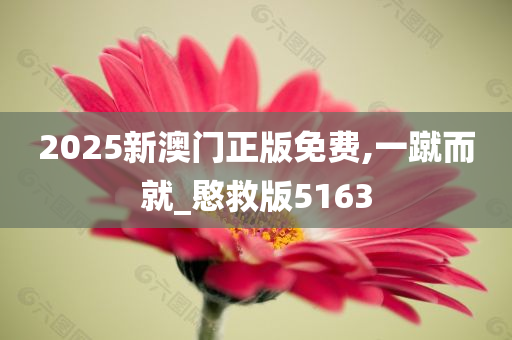 2025新澳门正版免费,一蹴而就_愍救版5163