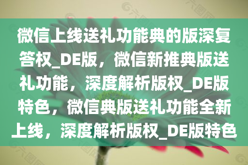 微信上线送礼功能典的版深复答权_DE版，微信新推典版送礼功能，深度解析版权_DE版特色，微信典版送礼功能全新上线，深度解析版权_DE版特色