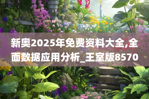 新奥2025年免费资料大全,全面数据应用分析_王室版8570