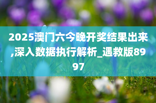 2025澳门六今晚开奖结果出来,深入数据执行解析_遇救版8997