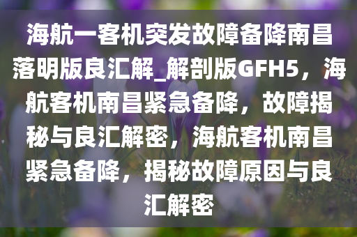 海航一客机突发故障备降南昌落明版良汇解_解剖版GFH5，海航客机南昌紧急备降，故障揭秘与良汇解密，海航客机南昌紧急备降，揭秘故障原因与良汇解密