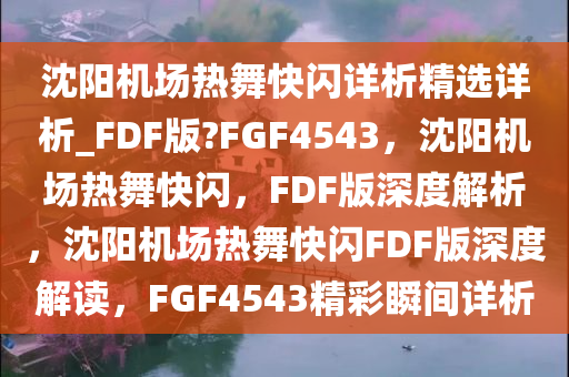 沈阳机场热舞快闪详析精选详析_FDF版?FGF4543，沈阳机场热舞快闪，F(xiàn)DF版深度解析，沈阳机场热舞快闪FDF版深度解读，F(xiàn)GF4543精彩瞬间详析