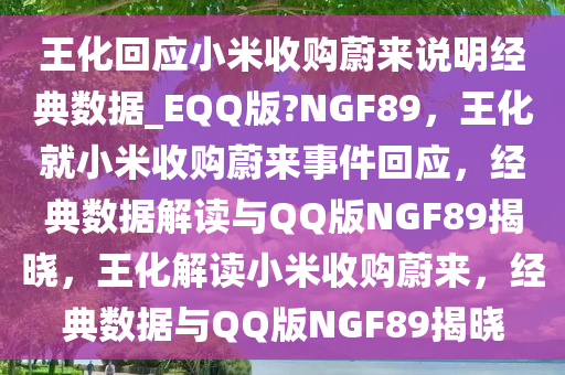 王化回应小米收购蔚来说明经典数据_EQQ版?NGF89，王化就小米收购蔚来事件回应，经典数据解读与QQ版NGF89揭晓，王化解读小米收购蔚来，经典数据与QQ版NGF89揭晓