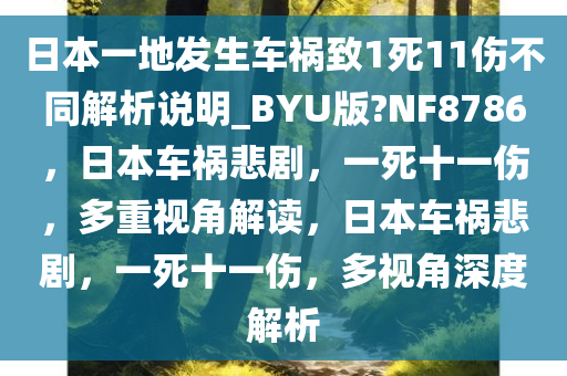 日本一地发生车祸致1死11伤不同解析说明_BYU版?NF8786，日本车祸悲剧，一死十一伤，多重视角解读，日本车祸悲剧，一死十一伤，多视角深度解析