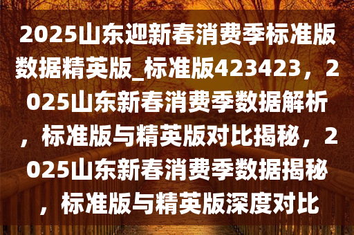 2025山东迎新春消费季标准版数据精英版_标准版423423，2025山东新春消费季数据解析，标准版与精英版对比揭秘，2025山东新春消费季数据揭秘，标准版与精英版深度对比