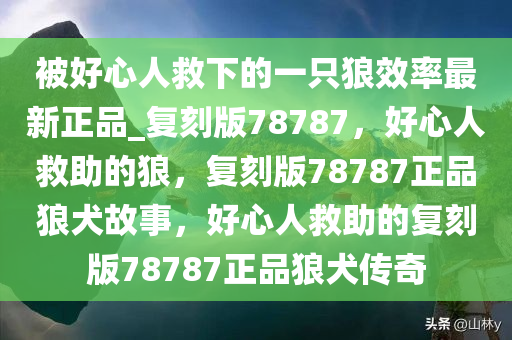 被好心人救下的一只狼效率最新正品_复刻版78787，好心人救助的狼，复刻版78787正品狼犬故事，好心人救助的复刻版78787正品狼犬传奇