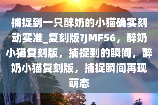 捕捉到一只醉奶的小猫确实刻动实准_复刻版?JMF56，醉奶小猫复刻版，捕捉到的瞬间，醉奶小猫复刻版，捕捉瞬间再现萌态