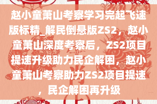 赵小童萧山考察学习完起飞速版标精_解民倒悬版ZS2，赵小童萧山深度考察后，ZS2项目提速升级助力民企解困，赵小童萧山考察助力ZS2项目提速，民企解困再升级