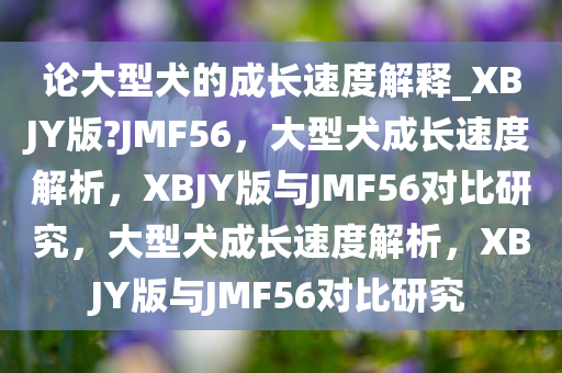 论大型犬的成长速度解释_XBJY版?JMF56，大型犬成长速度解析，XBJY版与JMF56对比研究，大型犬成长速度解析，XBJY版与JMF56对比研究